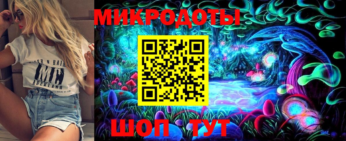 Псилоцибиновые грибы Psilocybine cubensis Улан-Удэ